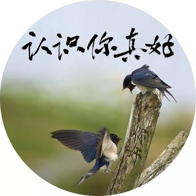 认识你真好